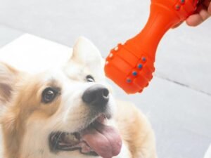 ペット★玩具★犬★ペット用品★犬玩具★おもちゃ★ストレス解消★発声