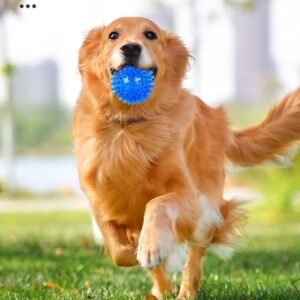 2025新作】ペット用品 犬用玩具 ペット用おもちゃ