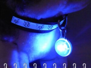 LEDライト ペット 犬 お散歩ライト カラー 夜間 LED ライト 猫 夜 散歩 安全 補助 グッズ ペット用品